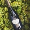 champagne-morel-gabriel-chardonnay Champagne Morel Gabriel Chardonnay