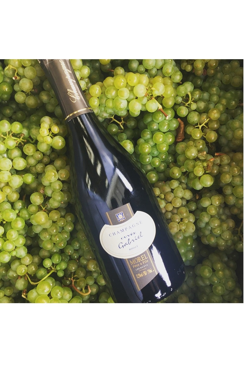 champagne-morel-gabriel-chardonnay Champagne Morel Gabriel Chardonnay