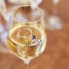 Champagne Morel Glasses